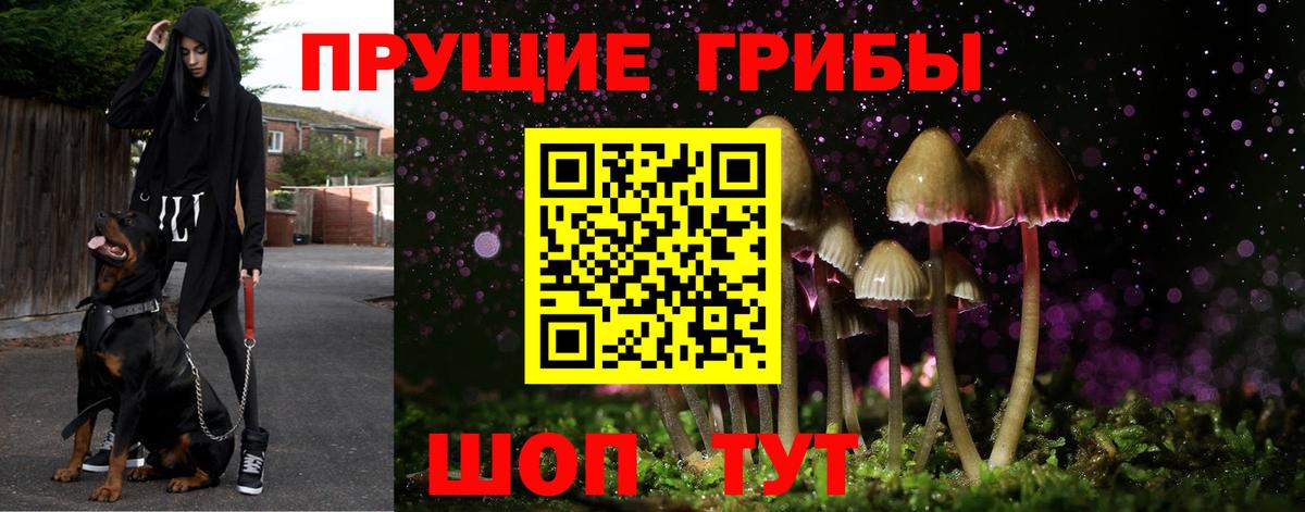 Галлюциногенные грибы мухоморы Тосно